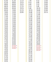 Transporte Metropolitano. Cambio de horario SERVICIO NOCTURNO de los sábados