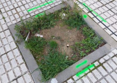 Acondicionamiento de los espacios ocupados por alcorques sin árboles en la Calle Pérez Galdós