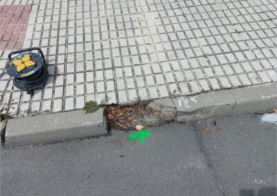 Sustitución completa de bordillos por otros de similares características en cuanto a material, acabado, dimensión y color, y/o reparación con mortero no estructural monocomponente en la Calle Orquídeas